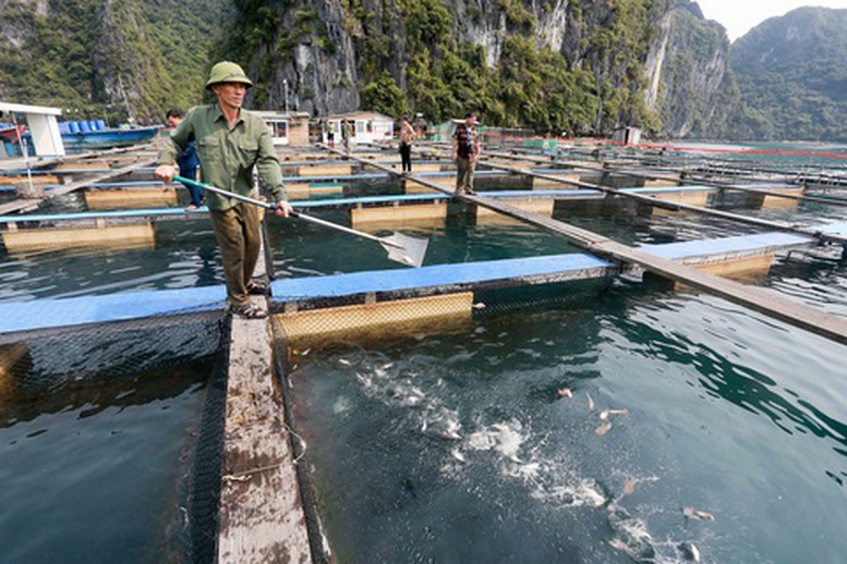 nuoi-bien-cong-nghe-cao-gop-phan-phat-trien-ben-vung-nganh-thuy-san