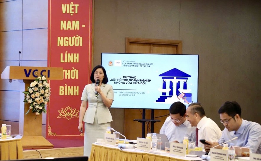 du-thao-luat-ho-tro-dnnvv-mo-rong-du-dia-phat-trien-cho-doanh-nghiep-tu-nhan