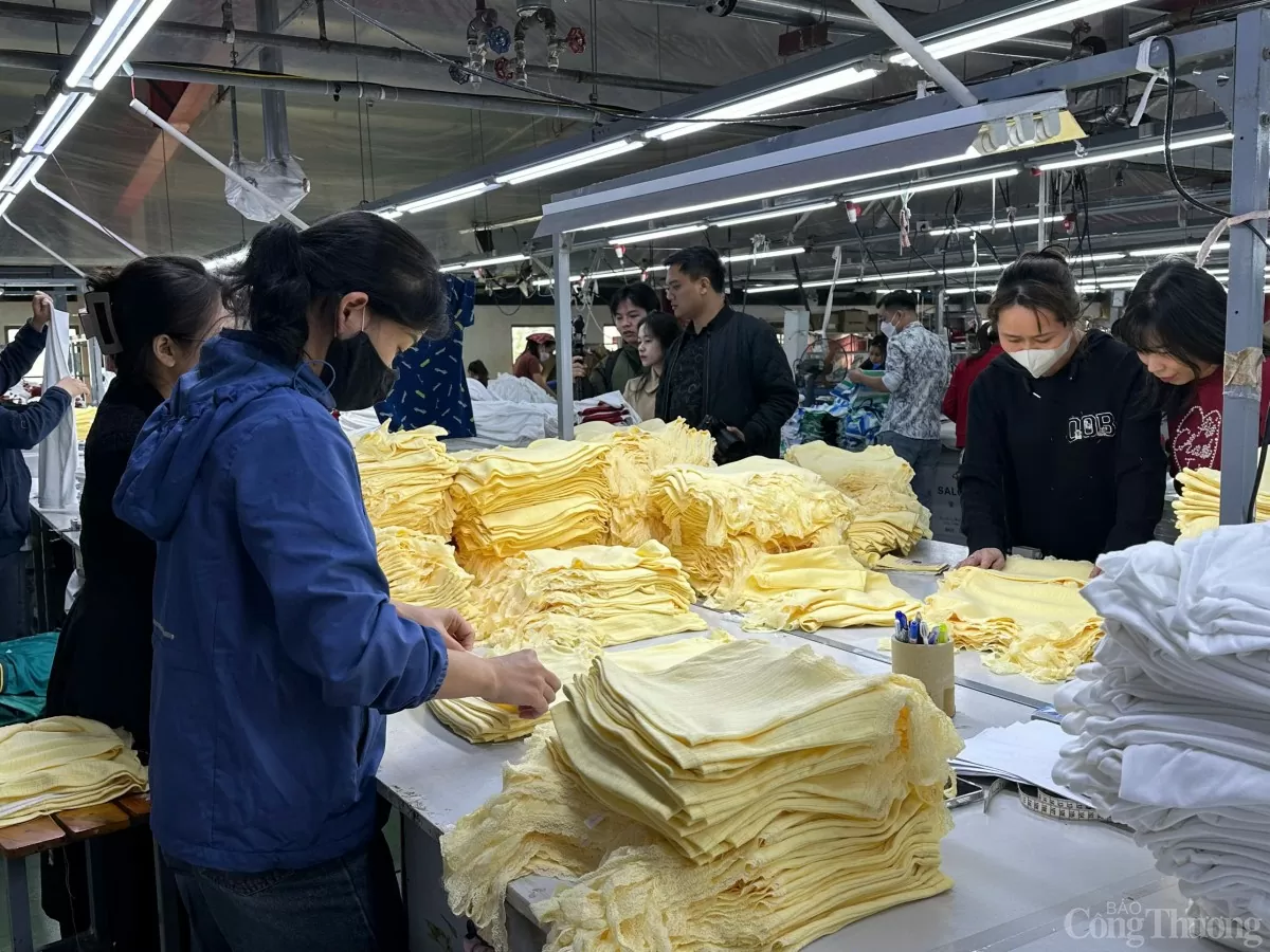 sap-to-chuc-doan-giao-dich-thuong-mai-tai-nhat-ban-2025