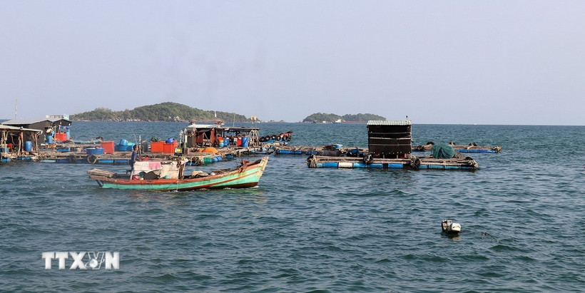 an-giang-dau-tu-khoang-600-ty-dong-nang-cap-cang-ca-an-thoi