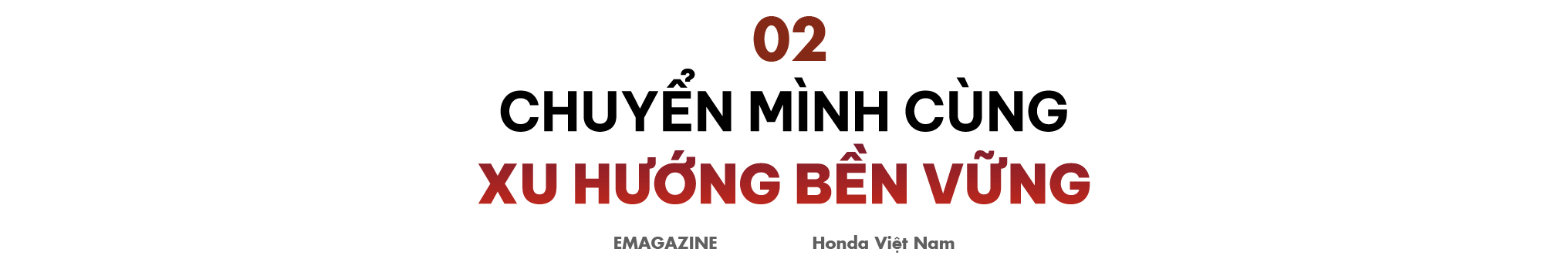 mceu_85300579461774595979206.jpg mceu_85300579461774595979206.jpg