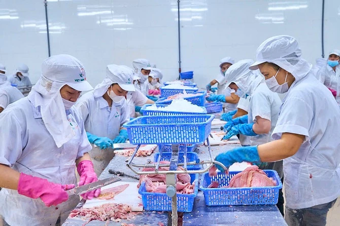 giai-phap-de-ca-tra-viet-nam-tiep-tuc-vuon-xa-tren-thi-truong-the-gioi