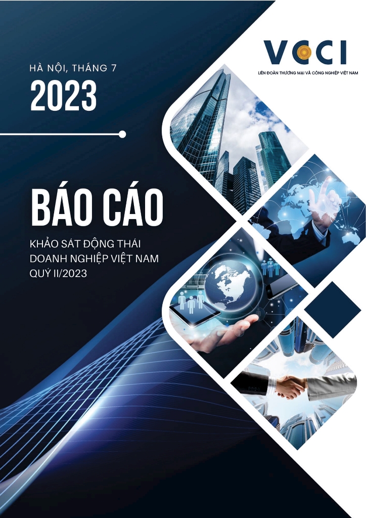 Báo cáo Khảo sát Động thái Doanh nghiệp Việt Nam Quý II/2023